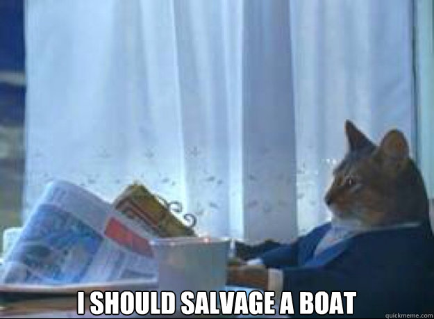 I should salvage a boat   I should buy a boat cat