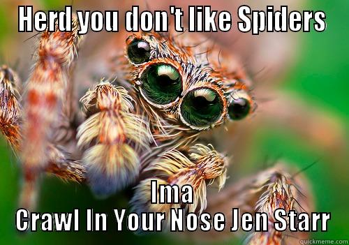 Spiders be like .... - HERD YOU DON'T LIKE SPIDERS IMA CRAWL IN YOUR NOSE JEN STARR Misc