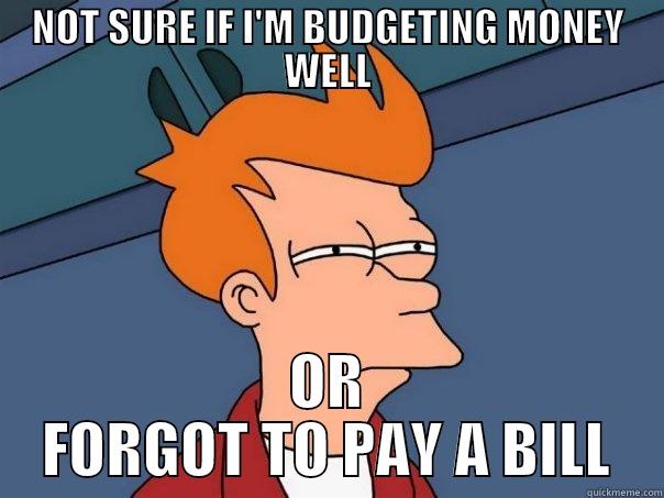 TITLE IS FUNNY - NOT SURE IF I'M BUDGETING MONEY WELL OR FORGOT TO PAY A BILL Futurama Fry