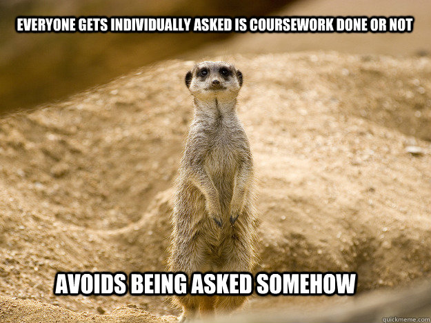 Everyone gets individually asked is coursework done or not Avoids being asked somehow - Everyone gets individually asked is coursework done or not Avoids being asked somehow  Success Meerkat