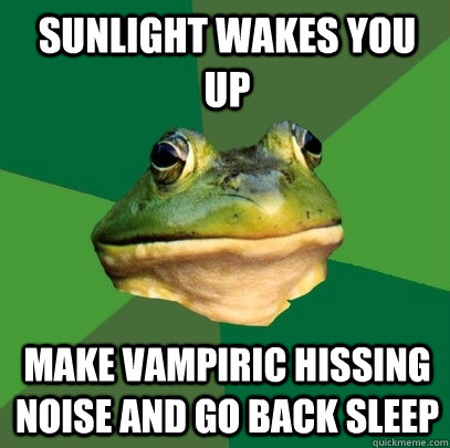 sunlight wakes you up make vampiric hissing noise and go back sleep - sunlight wakes you up make vampiric hissing noise and go back sleep  Foul Bachelor Frog