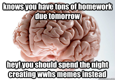 knows you have tons of homework due tomorrow hey! you should spend the night creating wwhs memes instead   Scumbag Brain