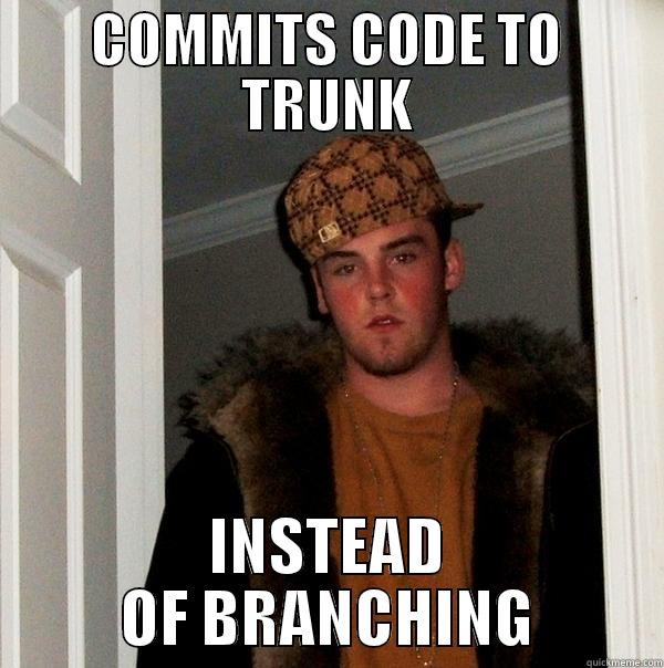 COMMITS CODE TO TRUNK INSTEAD OF BRANCHING Scumbag Steve