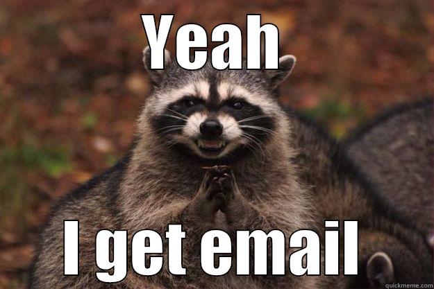 YEAH I GET EMAIL Evil Plotting Raccoon