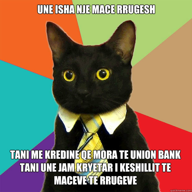 UNE ISHA NJE MACE RRUGESH  TANI ME KREDINE QE MORA TE UNION BANK TANI UNE JAM KRYETAR I KESHILLIT TE MACEVE TE RRUGEVE   Business Cat