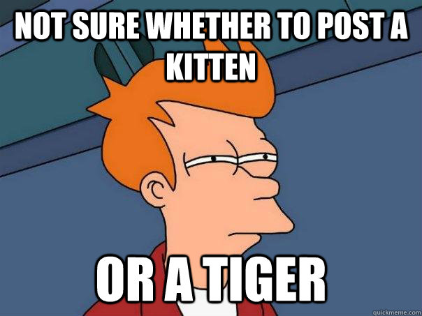 Not sure whether to post a kitten Or a tiger  Futurama Fry