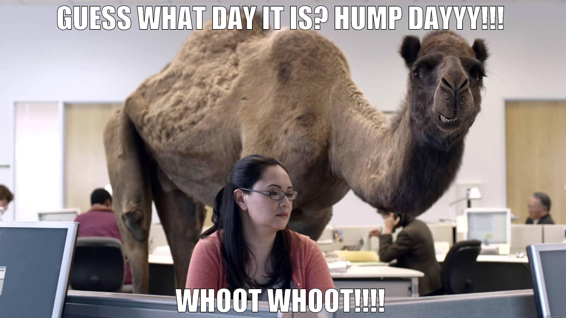 WHOOT WHOOT!! - GUESS WHAT DAY IT IS? HUMP DAYYY!!! WHOOT WHOOT!!!! Misc