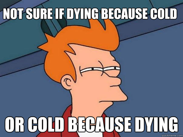 not sure if dying because cold or cold becAUSE DYING  Futurama Fry