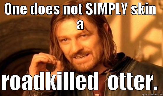 ONE DOES NOT SIMPLY SKIN A  ROADKILLED  OTTER. Boromir