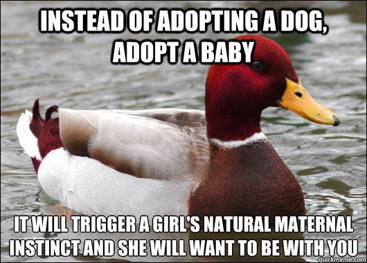 instead of adopting a dog, adopt a baby it will trigger a girl's natural maternal instinct and she will want to be with you  Malicious Advice Mallard