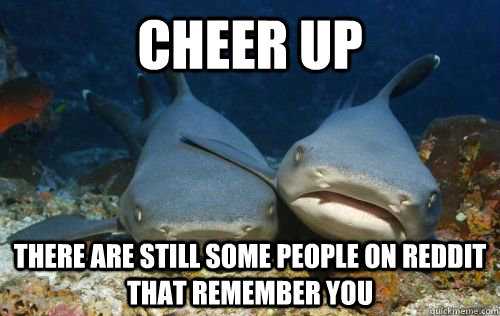 Cheer up There are still some people on reddit that remember you - Cheer up There are still some people on reddit that remember you  Compassionate Shark Friend