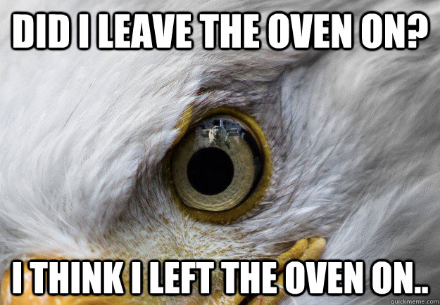 Did i leave the oven on? i think i left the oven on.. - Did i leave the oven on? i think i left the oven on..  Easily Distracted Bald Eagle