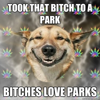 Took that bitch to a park bitches love parks  Stoner Dog