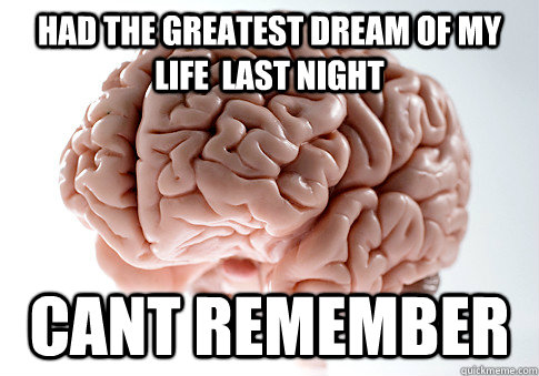 had the greatest dream of my life  last night cant remember  Scumbag Brain