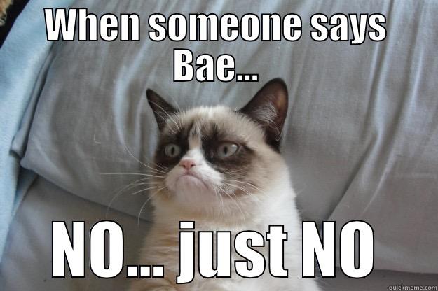 WHEN SOMEONE SAYS BAE... NO... JUST NO Grumpy Cat