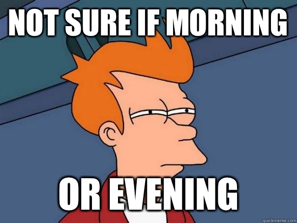 Not sure if morning Or evening - Not sure if morning Or evening  Futurama Fry