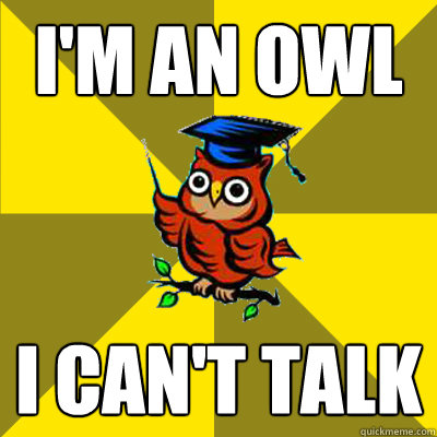 I'm an owl I can't talk  Observational Owl