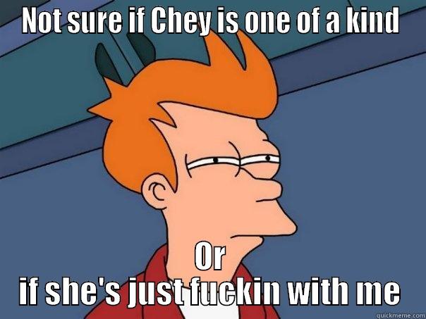 NOT SURE IF CHEY IS ONE OF A KIND OR IF SHE'S JUST FUCKIN WITH ME Futurama Fry