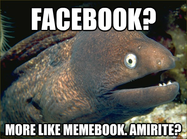 Facebook? More like memebook. amirite?  Bad Joke Eel