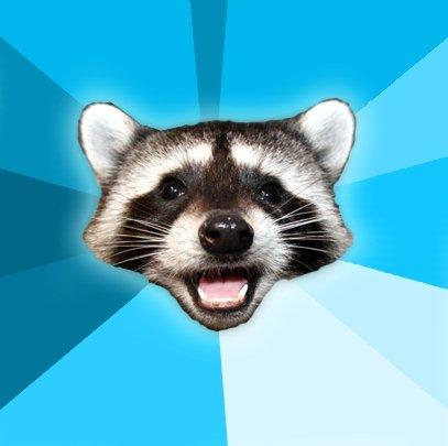 christina the raccon here saying hi to all my loot friend  -   Lame Pun Coon