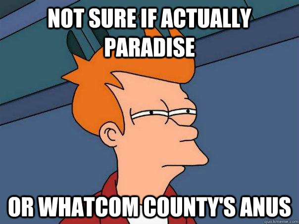 Not sure if actually paradise Or whatcom county's anus  Futurama Fry