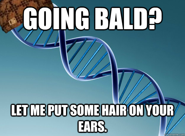 Going bald? Let me put some hair on your ears.  Scumbag Genetics