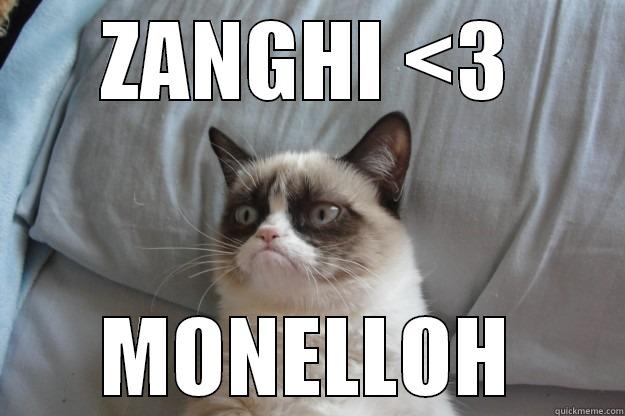 ZANGHI <3 MONELLOH Grumpy Cat