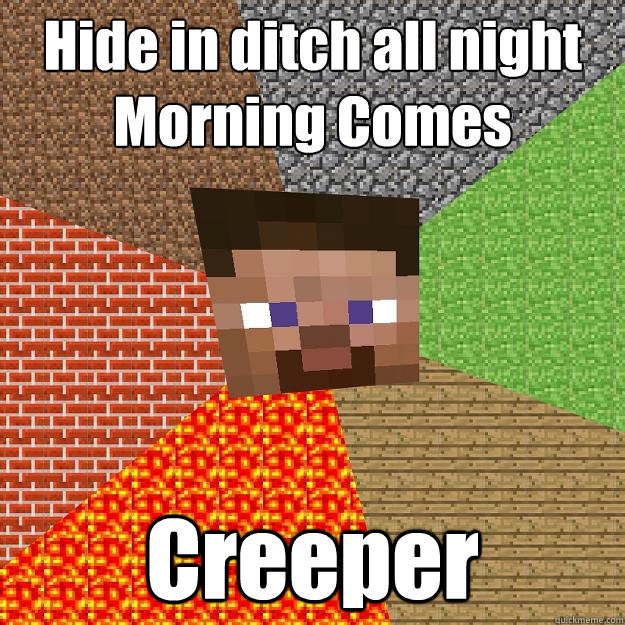 Hide in ditch all night
Morning Comes Creeper  Minecraft