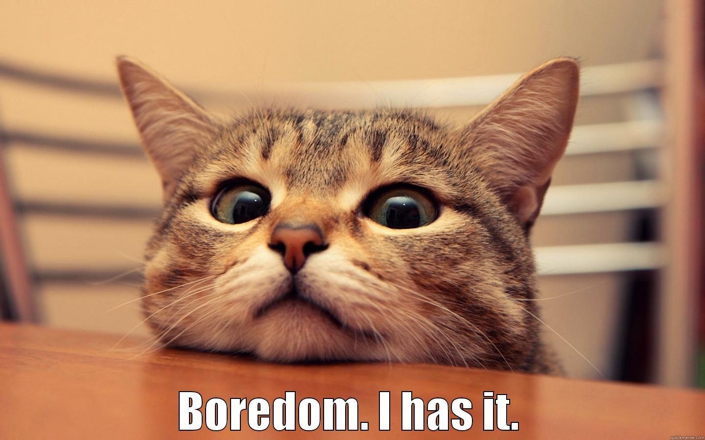 Boredom value=1 -  BOREDOM. I HAS IT. Misc