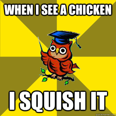 When i see a chicken I squish it - When i see a chicken I squish it  Observational Owl