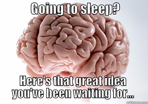             GOING TO SLEEP?            HERE'S THAT GREAT IDEA YOU'VE BEEN WAITING FOR... Scumbag Brain