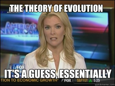 The Theory of Evolution It's a guess, essentially  Megyn Kelly