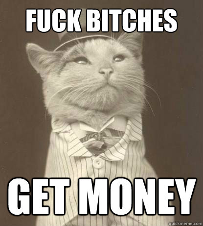 Fuck Bitches get money  Aristocat