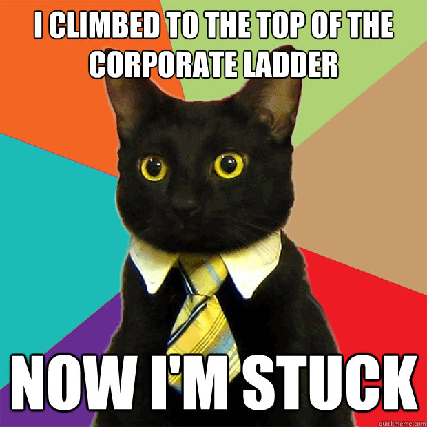 i climbed to the top of the corporate ladder now i'm stuck  Business Cat