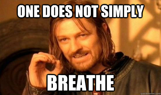 One Does Not Simply Breathe  Boromir