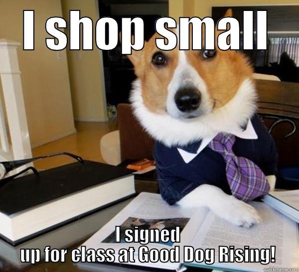 I SHOP SMALL I SIGNED UP FOR CLASS AT GOOD DOG RISING! Lawyer Dog