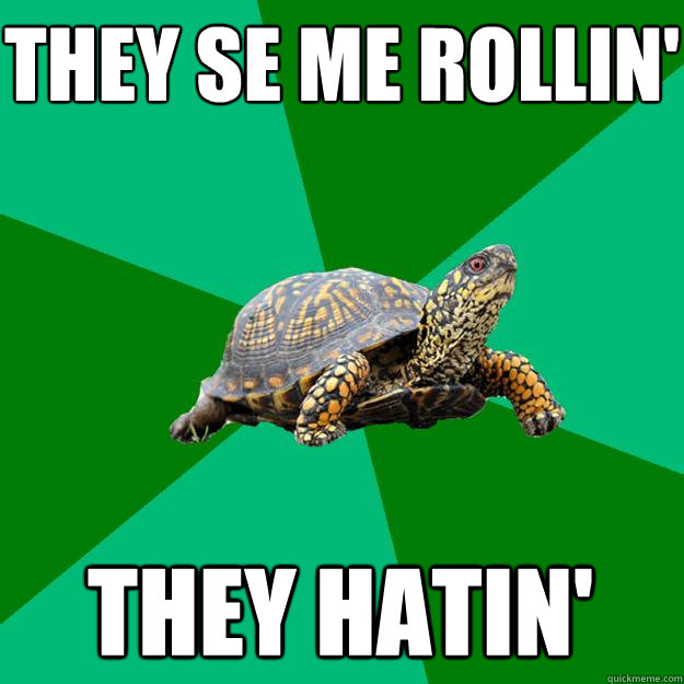 They se me rollin' they hatin'  Torrenting Turtle