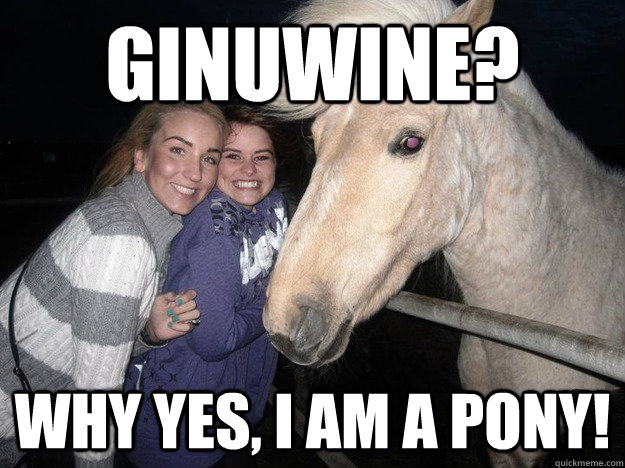 Ginuwine? Why yes, I am a pony! - Ginuwine? Why yes, I am a pony!  Ridiculously Photogenic Horse