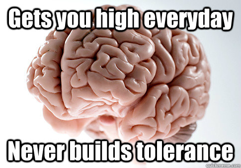 Gets you high everyday Never builds tolerance  - Gets you high everyday Never builds tolerance   Scumbag Brain