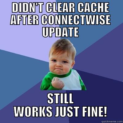 DIDN'T CLEAR CACHE AFTER CONNECTWISE UPDATE STILL WORKS JUST FINE! Success Kid