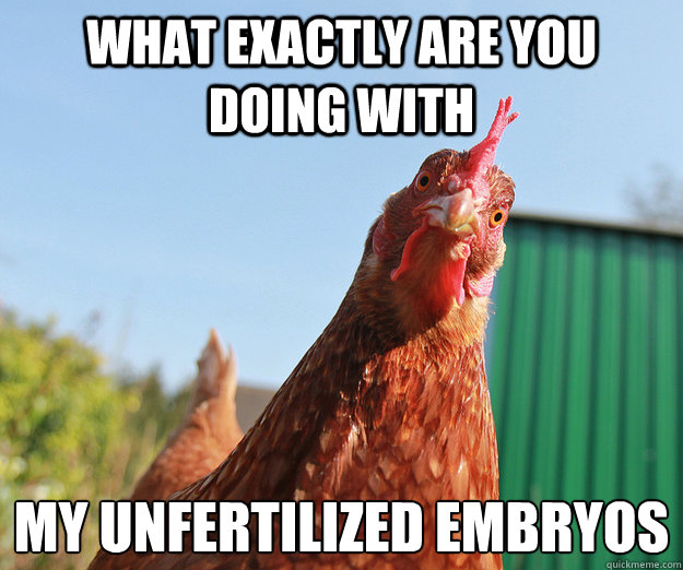 What exactly are you doing with my unfertilized embryos  - What exactly are you doing with my unfertilized embryos   Misc