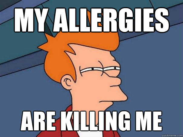 my allergies are killing me - my allergies are killing me  Futurama Fry