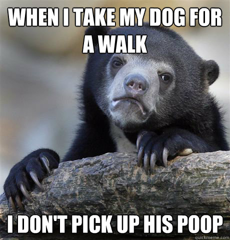 When I take my dog for a walk I don't pick up his poop - When I take my dog for a walk I don't pick up his poop  Confession Bear