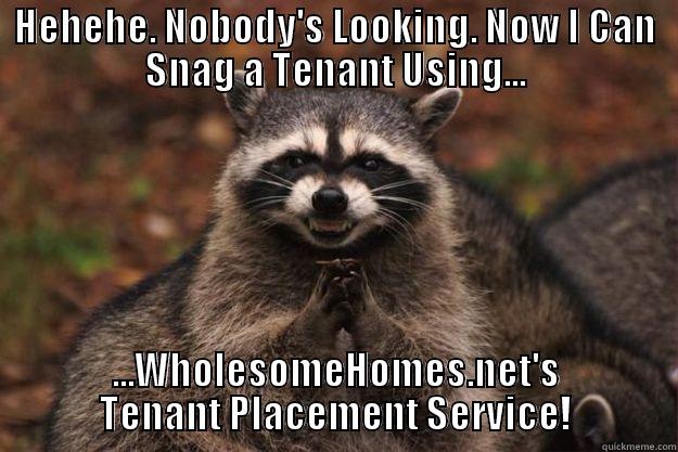 HEHEHE. NOBODY'S LOOKING. NOW I CAN SNAG A TENANT USING... ...WHOLESOMEHOMES.NET'S TENANT PLACEMENT SERVICE! Evil Plotting Raccoon