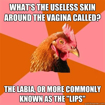 What's the useless skin around the vagina called? The Labia, or more commonly known as the 