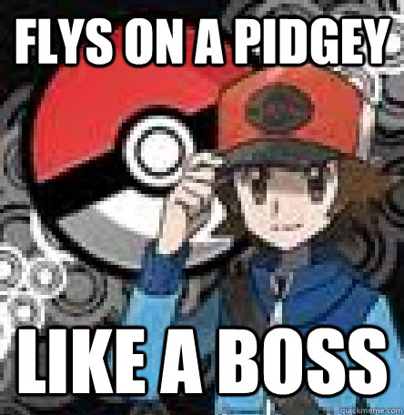 Flys on a pidgey  Like a boss  Pokemon Logic