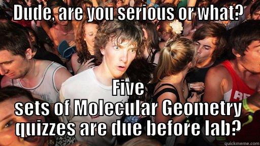 Whoa!  For real? - DUDE, ARE YOU SERIOUS OR WHAT? FIVE SETS OF MOLECULAR GEOMETRY QUIZZES ARE DUE BEFORE LAB? Sudden Clarity Clarence