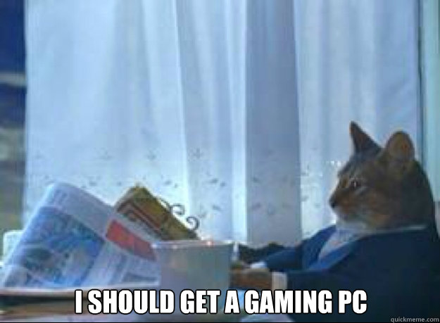 i should get a gaming pc   I should buy a boat cat