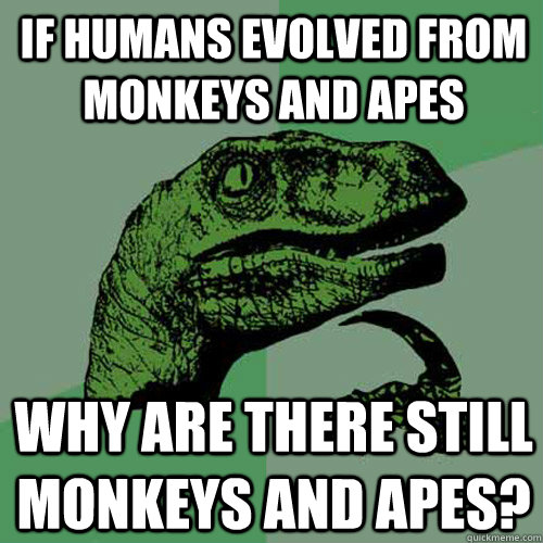 If humans evolved from monkeys and apes Why are there still monkeys and apes?   Philosoraptor