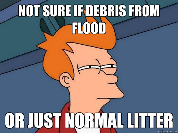 Not sure if debris from flood or just normal litter - Not sure if debris from flood or just normal litter  Futurama Fry